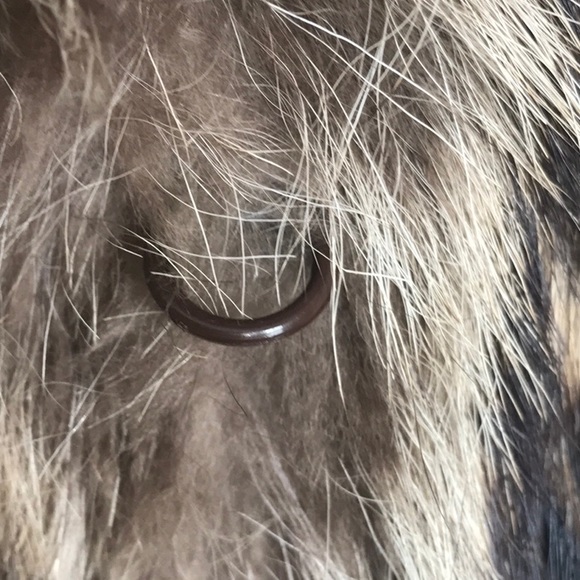 STUNNING FULL LENGTH VEST IN RACCOON & FOX FUR - Picture 6 of 8